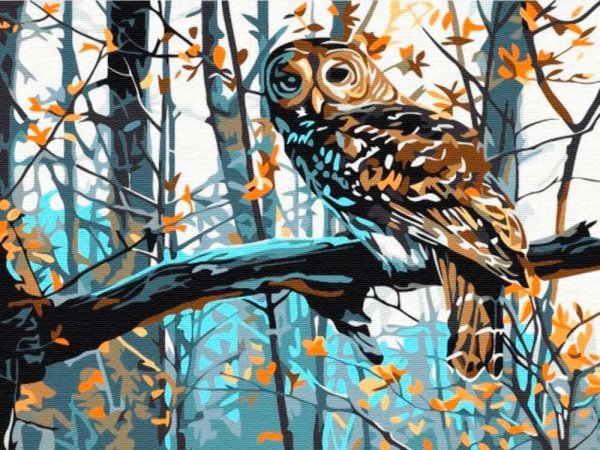 Dimensions 35311 «мудрая Сова»