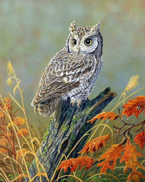 Художник-анималист Терри Даути (Terry Doughty).