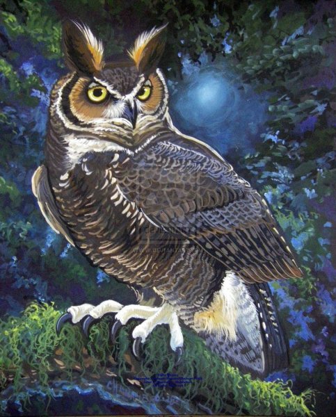 Роберт Бисселл картины с совой
