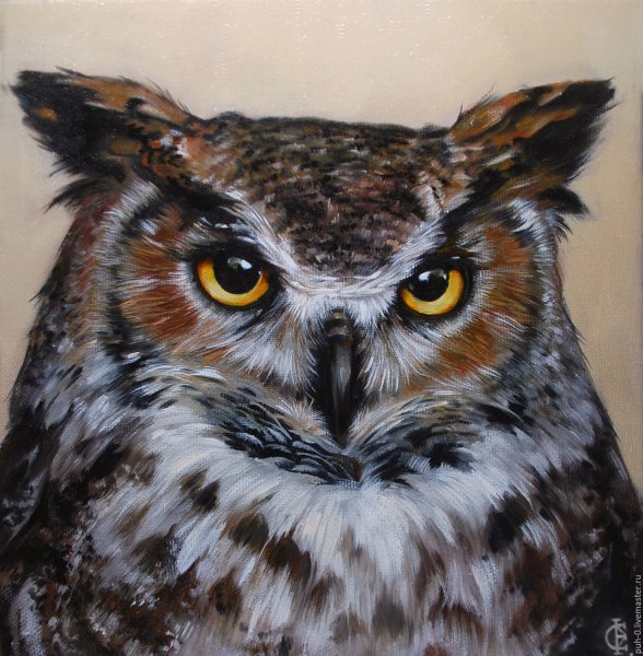 Сова маслом