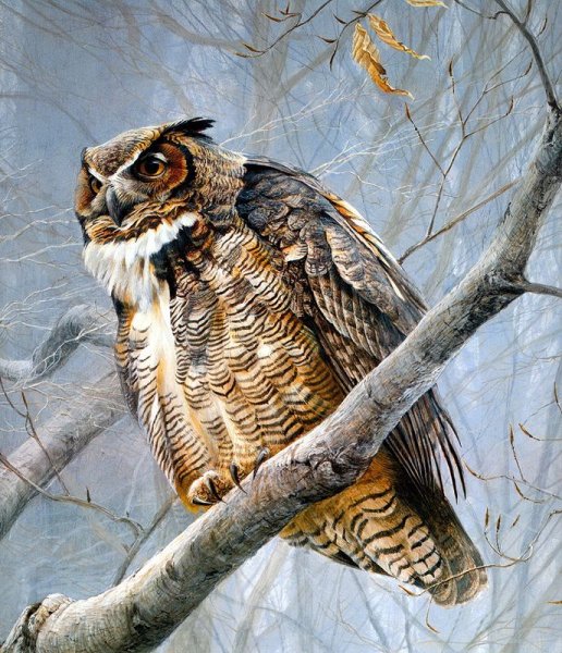 Роберт Бейтман художник анималист