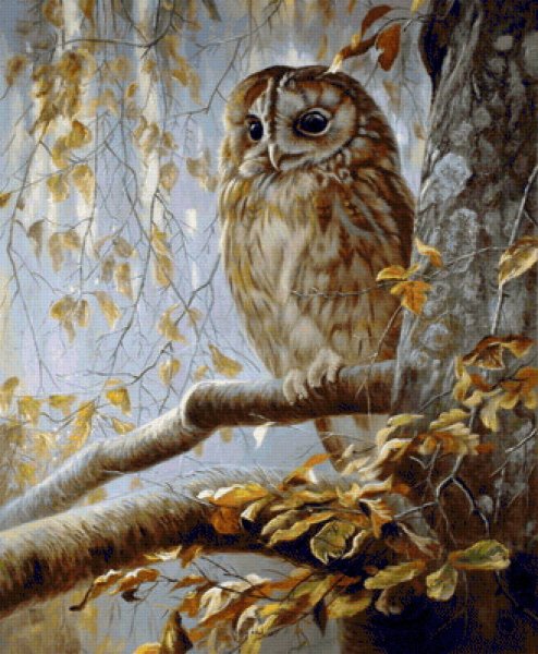 Пейзаж с совой