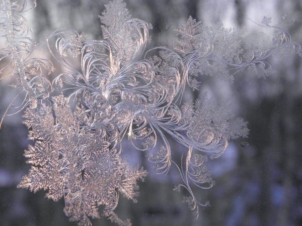 Снежные узоры