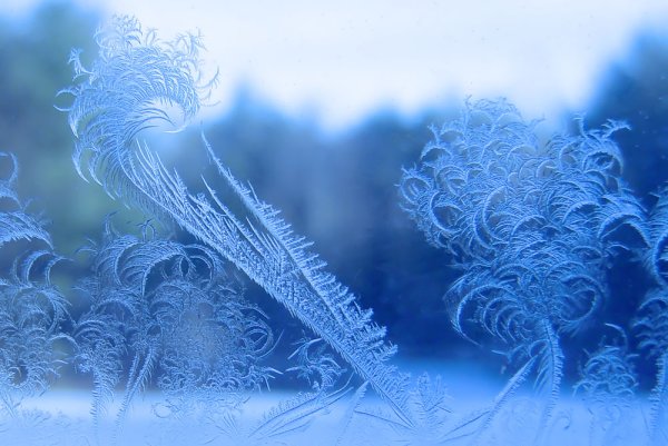 Набор для вышивания Dimensions Winter Lace//зимние кружева 35111