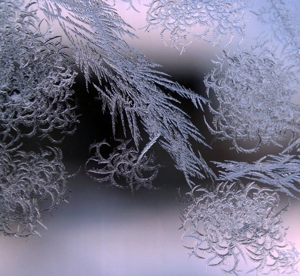 Кружево в живописи