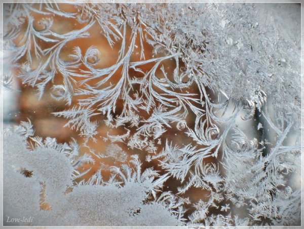 Кружево зимы конкурс