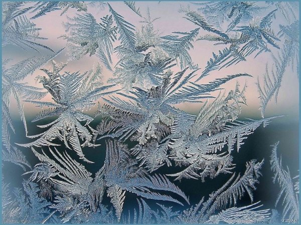 Зимняя вышивка