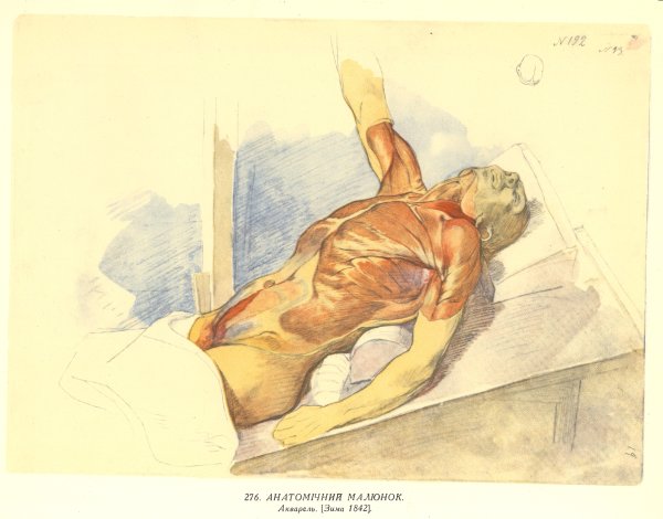 Тарас Шевченко картины скандальные