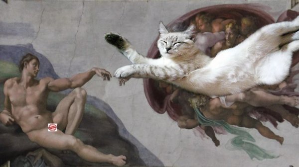 Сотворение Адама адам