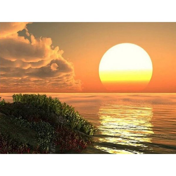 Картины Восход солнца в лесу