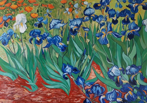 Van Gogh ирисы