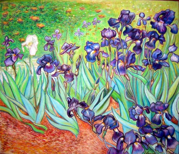 Ирисы, Ван Гог