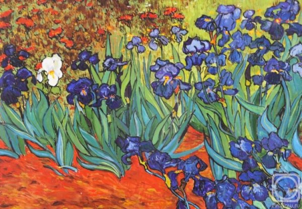 Ван Гог нарциссы