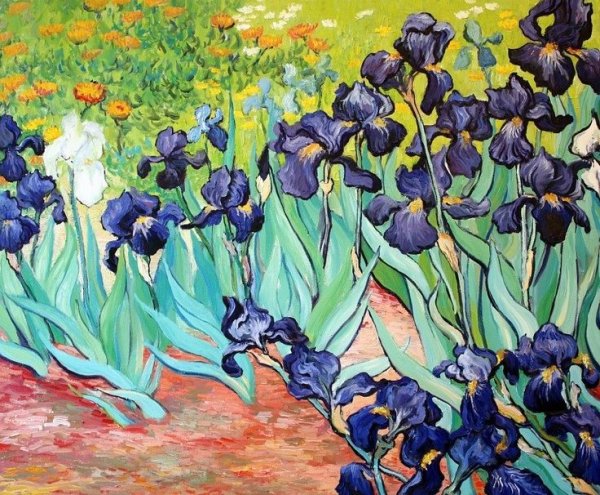 Винсент Ван Гог "ирисы"