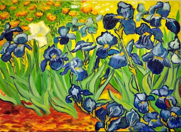 Ирисы, Ван Гог