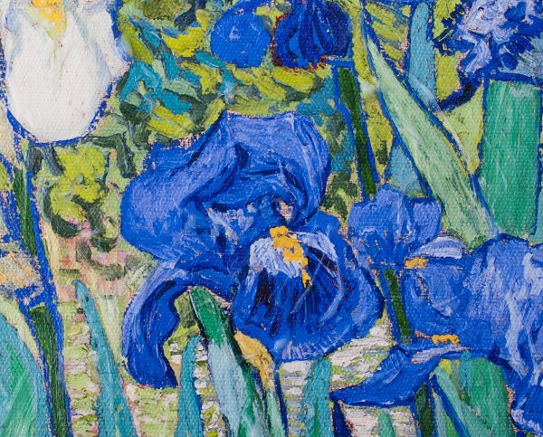 Ирисы картина Ван Гога
