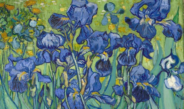 Винсент Ван Гог "ирисы"