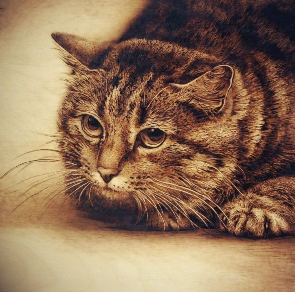 Картины Джулии Бендер