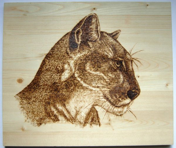 Выжигание по дереву