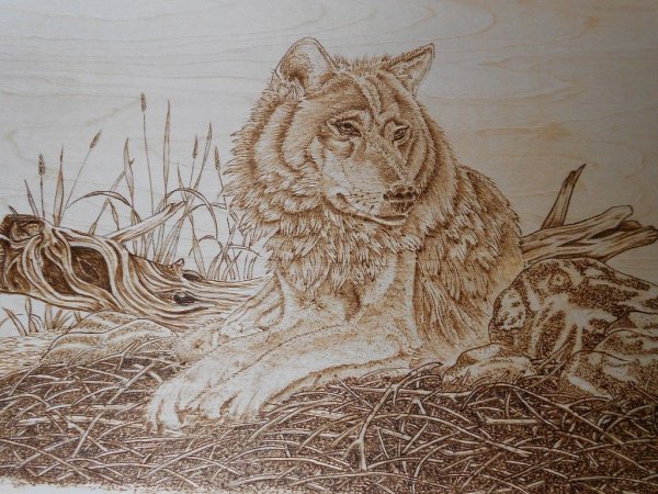 Пирография Сью Уолтерс