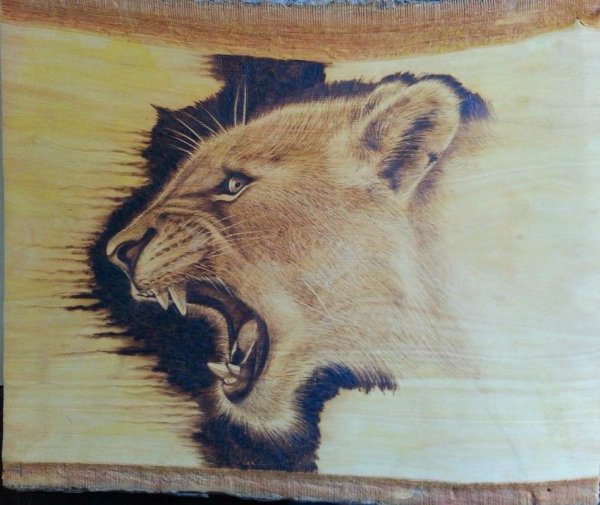 Лев для выжигания по дереву