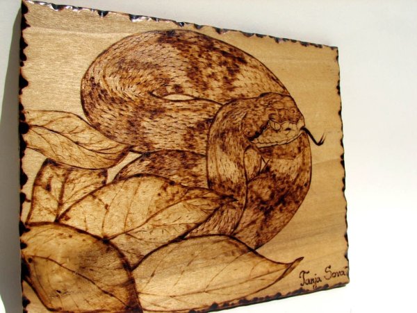 Выжигание по дереву