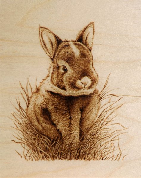 Выжигание по дереву животные