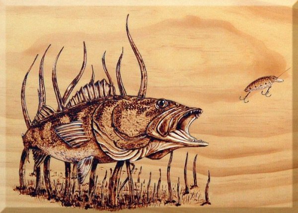 Выжигание по дереву рыба