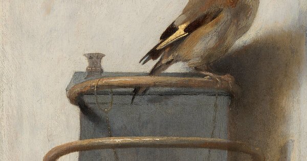 Карел Фабрициус щегол