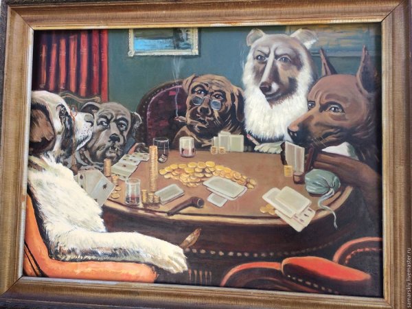 Собаки Покер
