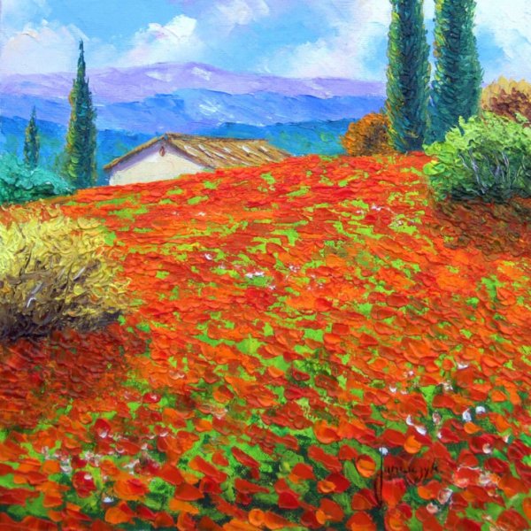 Жан Марк Жаньячик Прованс