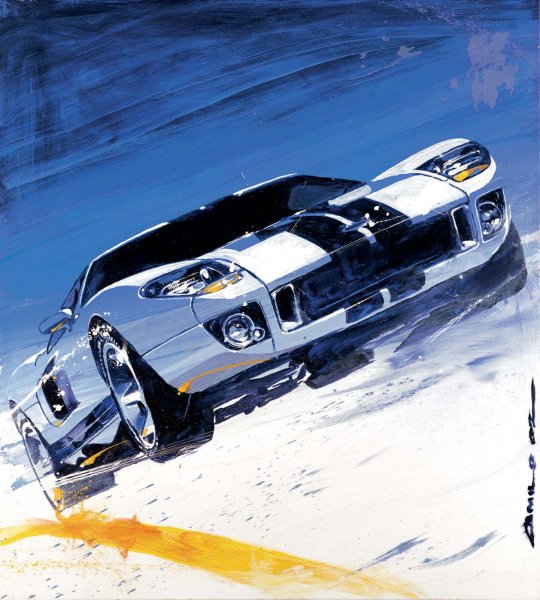 Грузовики гонки картина