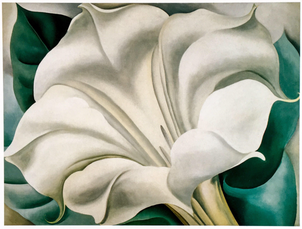 Джорджия о'Кифф маки