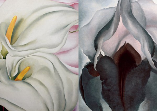 Джорджия о Кифф цветы