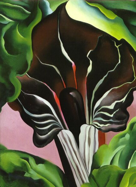 Художница Georgia o'Keeffe