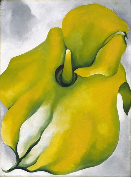 Джорджия о Кифф