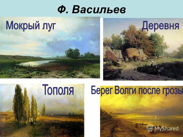 Небо мокрый луг