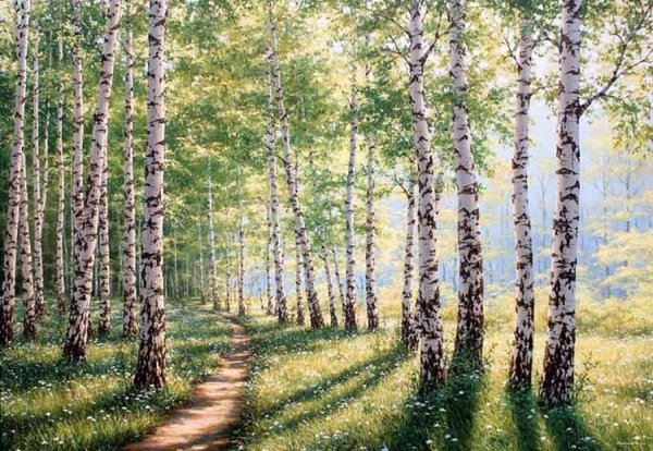 Художник Абакумов Березовая роща