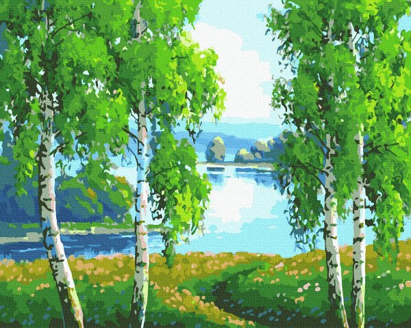 Картины по номерам Березовая роща