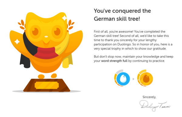 Медведь из Дуолинго