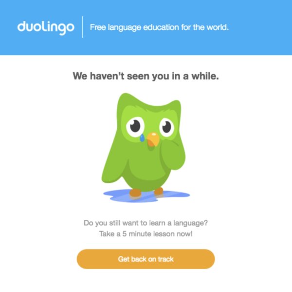 Шутки про Duolingo