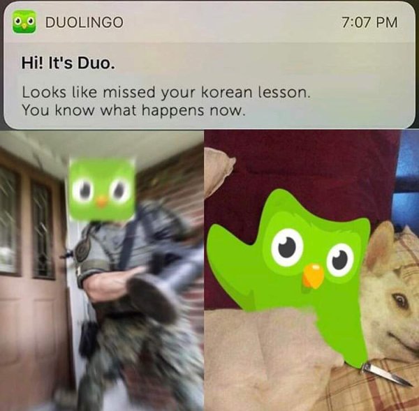 Duolingo угрозы