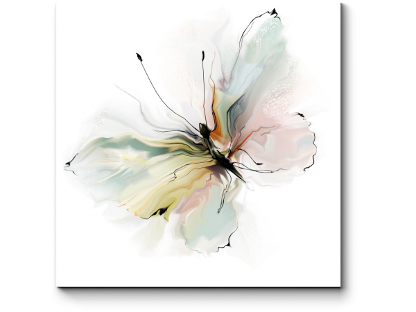 Акварельные бабочки