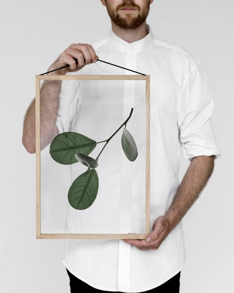 Прозрачные картины