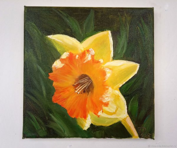 Нарциссы маслом квадратный холст