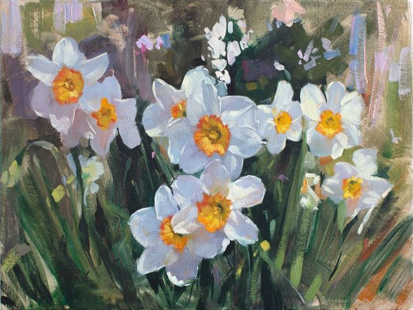 Нарциссы акварелью Андрияка