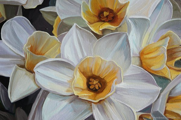 Нарциссы Тоня Ткач