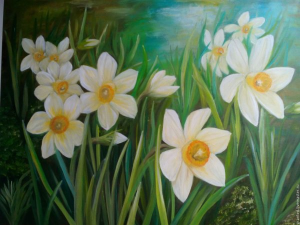 Репродукция Декарт нарциссы