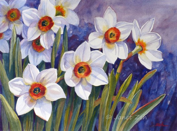 Цветы акварелью нарциссы