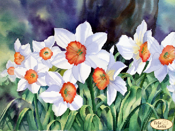 Энн Мортимер цветы в акварели